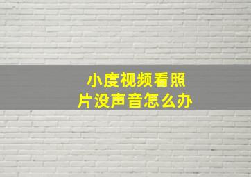 小度视频看照片没声音怎么办