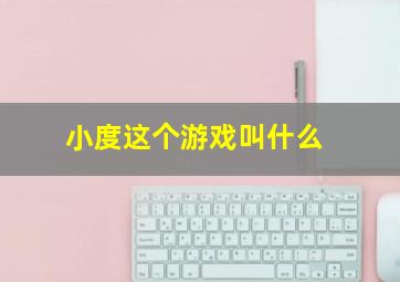 小度这个游戏叫什么