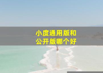 小度通用版和公开版哪个好