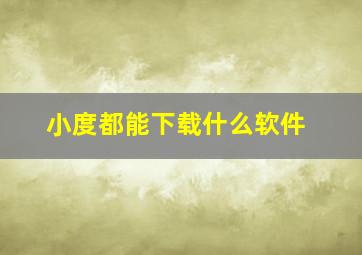 小度都能下载什么软件