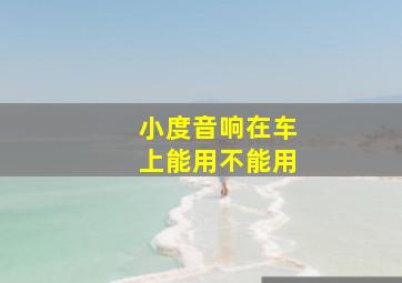 小度音响在车上能用不能用