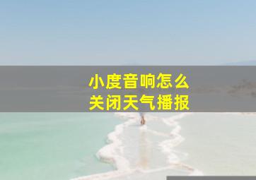 小度音响怎么关闭天气播报