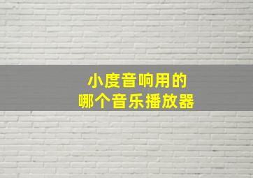 小度音响用的哪个音乐播放器