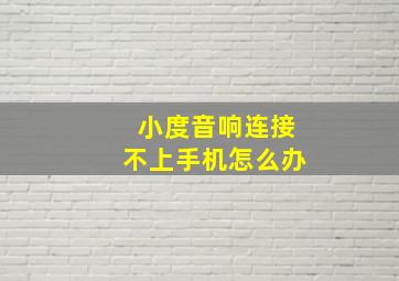 小度音响连接不上手机怎么办