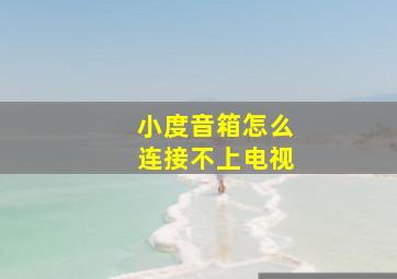 小度音箱怎么连接不上电视