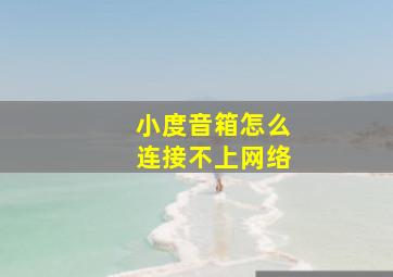 小度音箱怎么连接不上网络