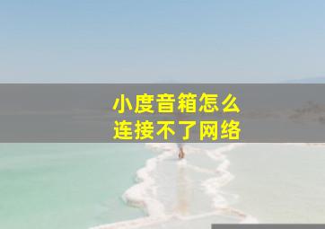 小度音箱怎么连接不了网络