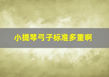 小提琴弓子标准多重啊