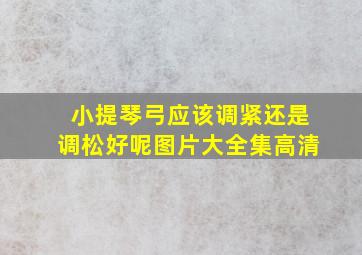 小提琴弓应该调紧还是调松好呢图片大全集高清