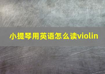 小提琴用英语怎么读violin