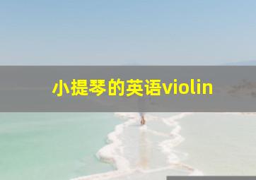 小提琴的英语violin