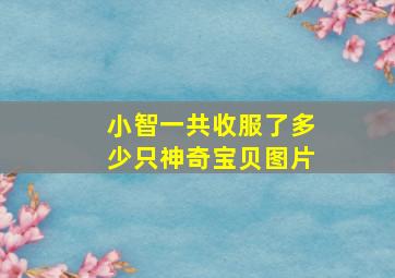 小智一共收服了多少只神奇宝贝图片