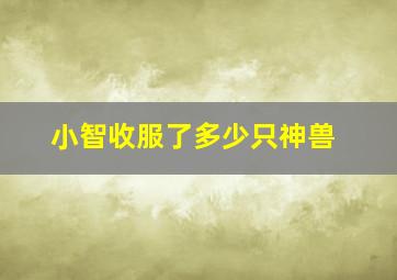 小智收服了多少只神兽