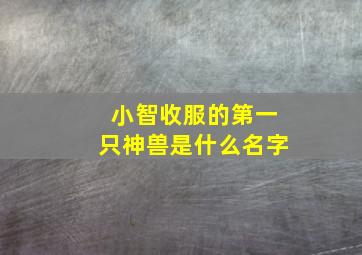 小智收服的第一只神兽是什么名字