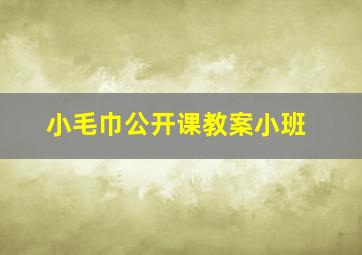 小毛巾公开课教案小班