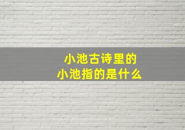 小池古诗里的小池指的是什么