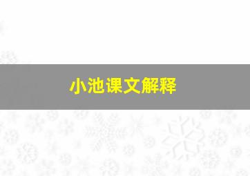 小池课文解释