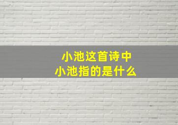 小池这首诗中小池指的是什么