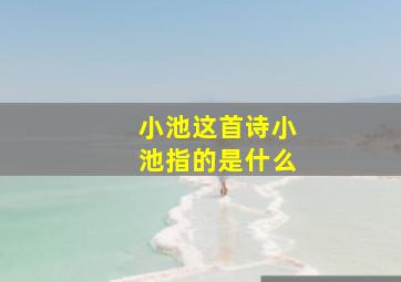 小池这首诗小池指的是什么