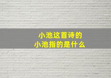 小池这首诗的小池指的是什么