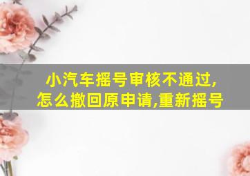 小汽车摇号审核不通过,怎么撤回原申请,重新摇号