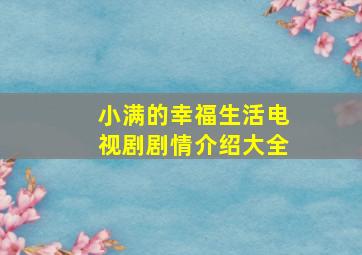 小满的幸福生活电视剧剧情介绍大全