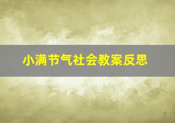 小满节气社会教案反思