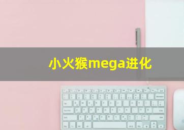 小火猴mega进化