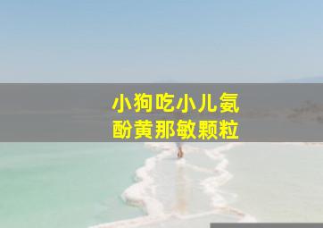 小狗吃小儿氨酚黄那敏颗粒