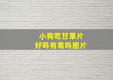 小狗吃甘草片好吗有毒吗图片