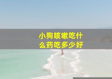 小狗咳嗽吃什么药吃多少好