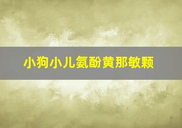 小狗小儿氨酚黄那敏颗