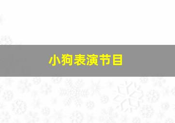 小狗表演节目