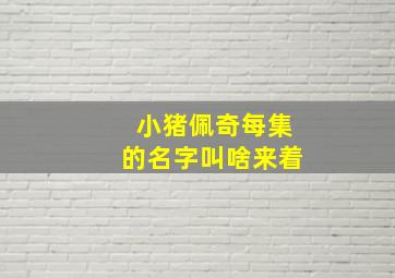 小猪佩奇每集的名字叫啥来着