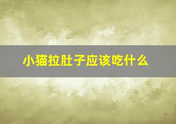 小猫拉肚子应该吃什么