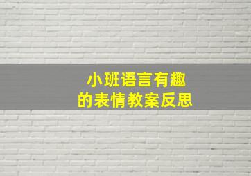 小班语言有趣的表情教案反思