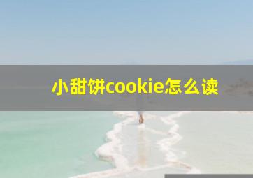 小甜饼cookie怎么读