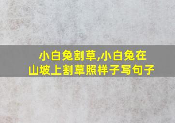 小白兔割草,小白兔在山坡上割草照样子写句子