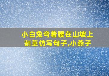 小白兔弯着腰在山坡上割草仿写句子,小燕子