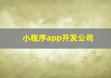 小程序app开发公司