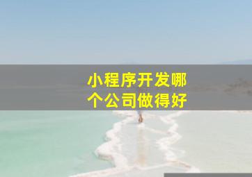 小程序开发哪个公司做得好