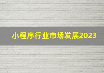 小程序行业市场发展2023