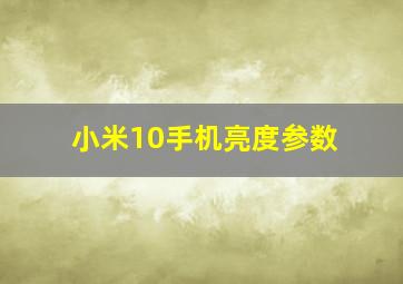 小米10手机亮度参数