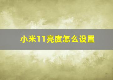 小米11亮度怎么设置