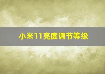 小米11亮度调节等级