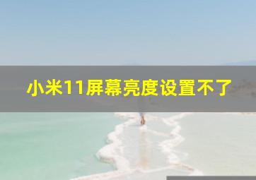 小米11屏幕亮度设置不了