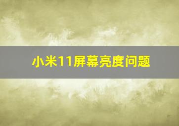 小米11屏幕亮度问题