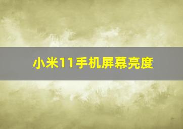 小米11手机屏幕亮度