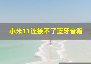 小米11连接不了蓝牙音箱