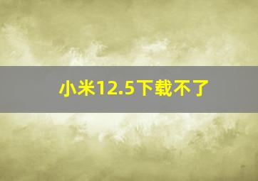 小米12.5下载不了